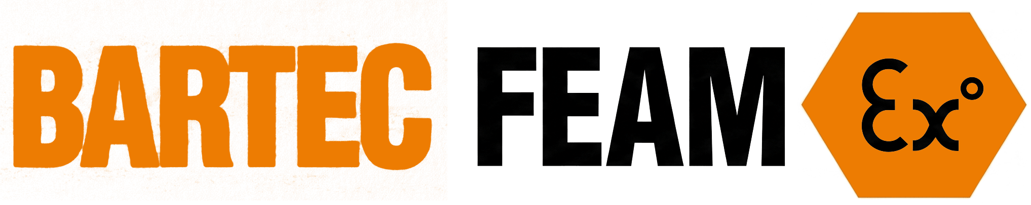FEAM